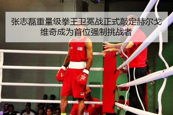 张志磊重量级拳王卫冕战正式敲定赫尔戈维奇成为首位强制挑战者