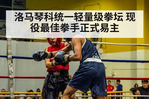 洛马琴科统一轻量级拳坛 现役最佳拳手正式易主